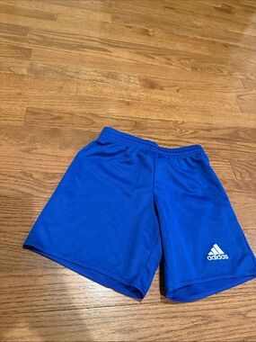 adidas Blue Performance Sports/Soccer Shorts with White Logo